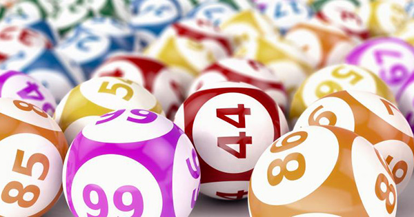 bingo premier lotto result today