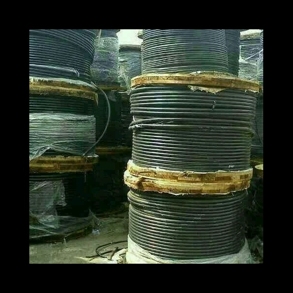 16mm Armoured Cable Divine Option Technical    1679211019 31655 